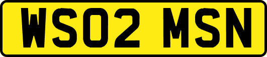WS02MSN