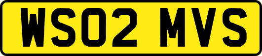 WS02MVS