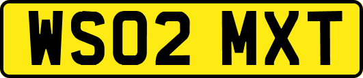 WS02MXT