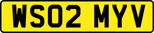 WS02MYV