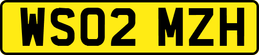 WS02MZH