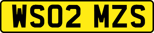WS02MZS