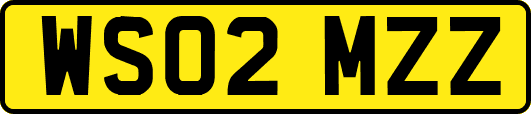 WS02MZZ