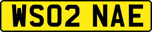 WS02NAE