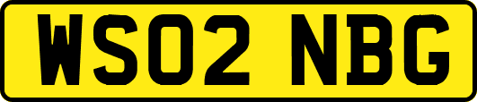 WS02NBG