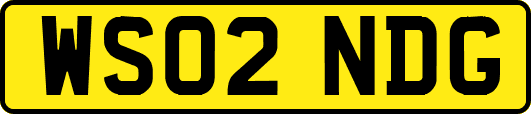 WS02NDG