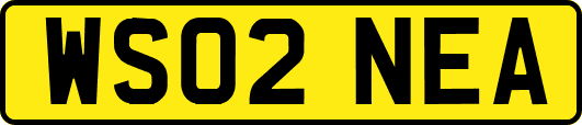 WS02NEA