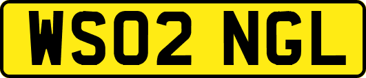 WS02NGL