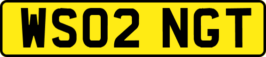 WS02NGT