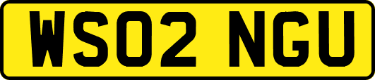 WS02NGU