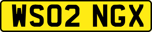 WS02NGX