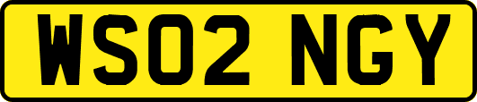 WS02NGY