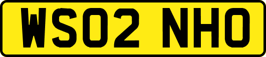 WS02NHO