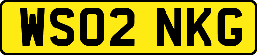 WS02NKG