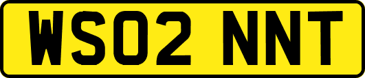 WS02NNT