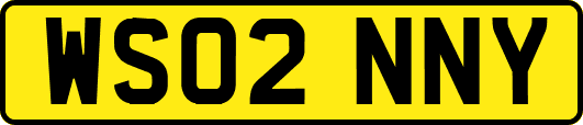 WS02NNY
