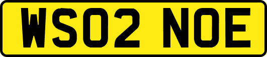 WS02NOE