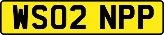 WS02NPP