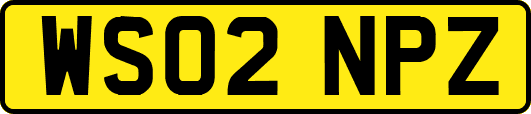 WS02NPZ