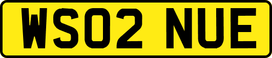 WS02NUE