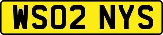 WS02NYS
