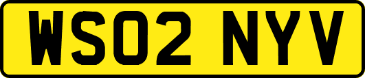 WS02NYV