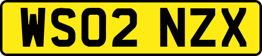 WS02NZX