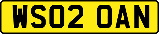 WS02OAN
