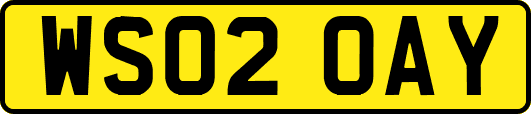 WS02OAY