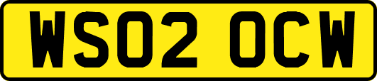 WS02OCW