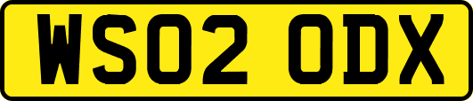 WS02ODX