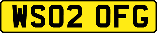 WS02OFG