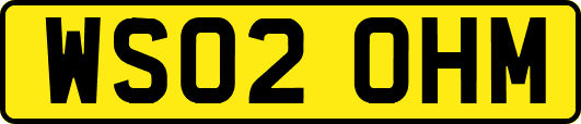 WS02OHM