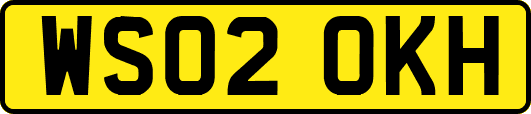WS02OKH