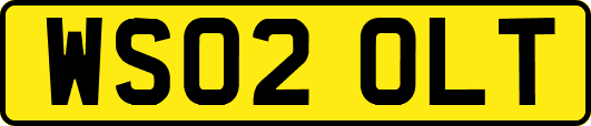 WS02OLT