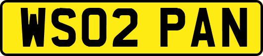 WS02PAN