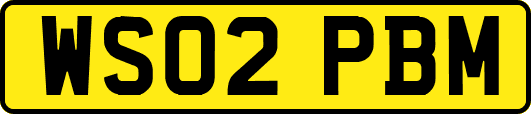WS02PBM
