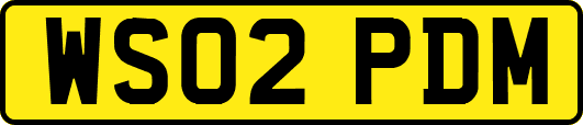 WS02PDM