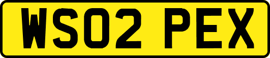 WS02PEX
