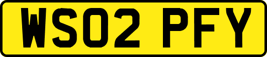 WS02PFY
