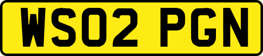 WS02PGN