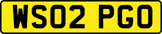 WS02PGO