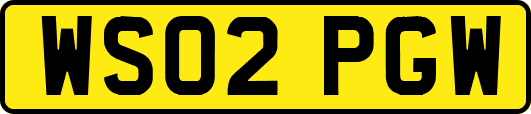 WS02PGW