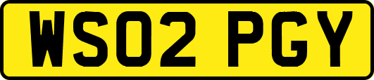 WS02PGY