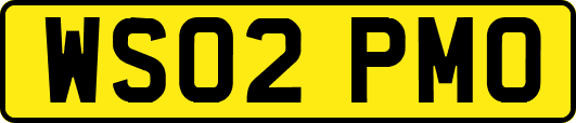 WS02PMO