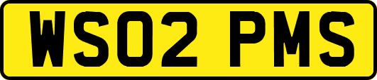 WS02PMS