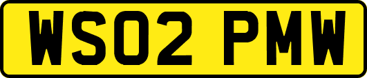 WS02PMW