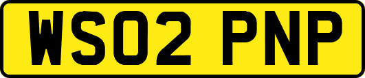 WS02PNP