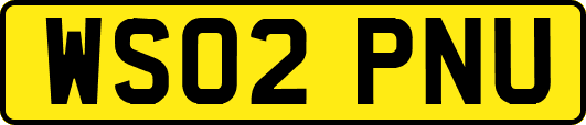 WS02PNU