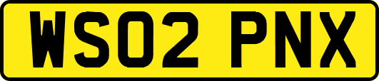 WS02PNX